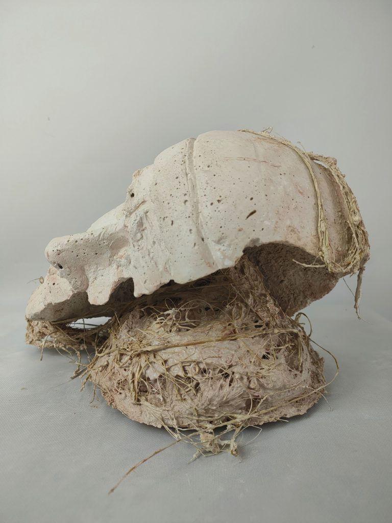 EL ECO DE LA TIERRA EL ECO DE LA TIERRA