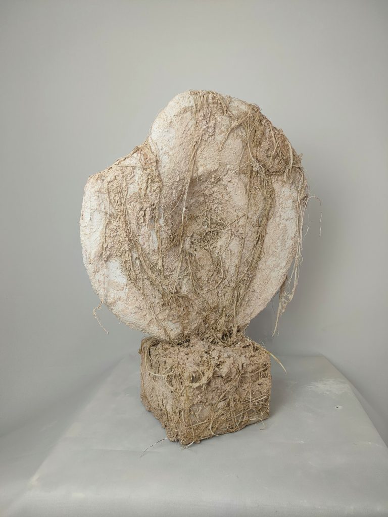 MEMORIA DESENTERRADA, 2026